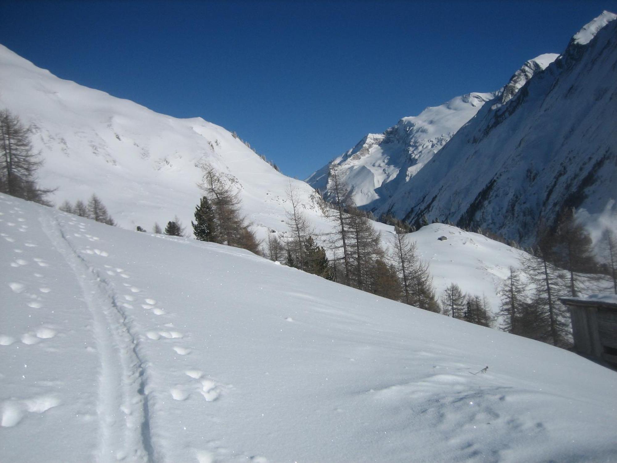 Apartament Haus Ursula Kals-am Großglockner Zewnętrze zdjęcie