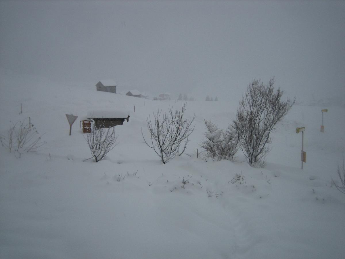 Apartament Haus Ursula Kals-am Großglockner Zewnętrze zdjęcie
