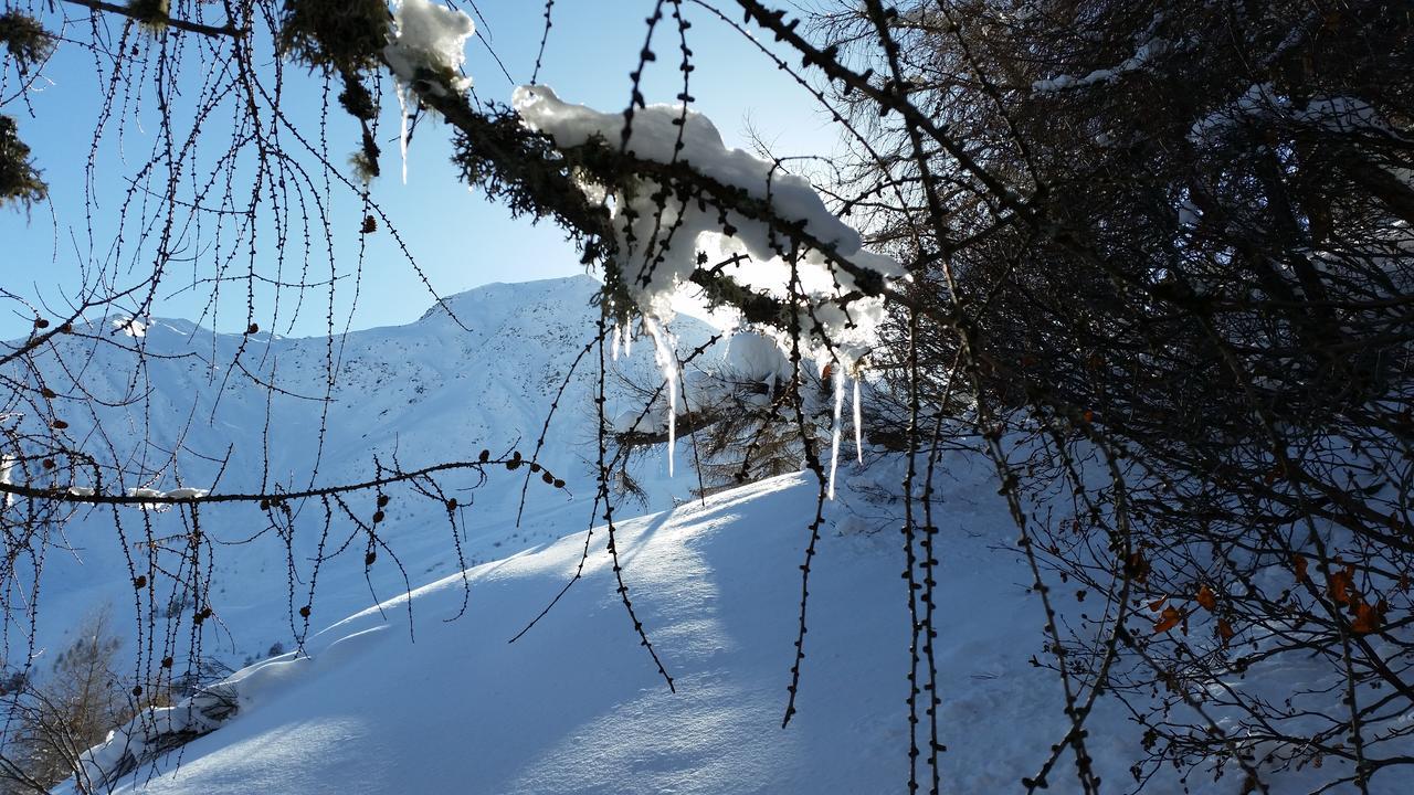 Apartament Haus Ursula Kals-am Großglockner Zewnętrze zdjęcie
