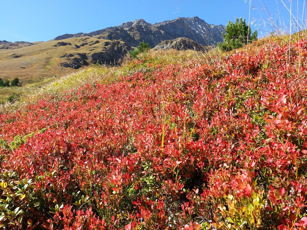 Apartament Haus Ursula Kals-am Großglockner Zewnętrze zdjęcie
