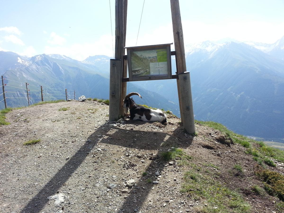 Apartament Haus Ursula Kals-am Großglockner Zewnętrze zdjęcie